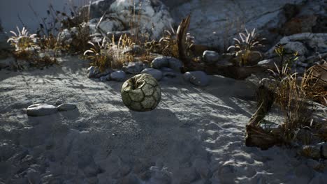 An-old-torn-soccer-ball-thrown-lies-on-sand-of-sea-beach